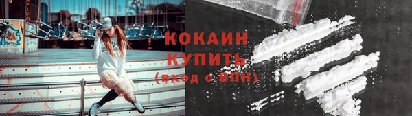 трава Новозыбков