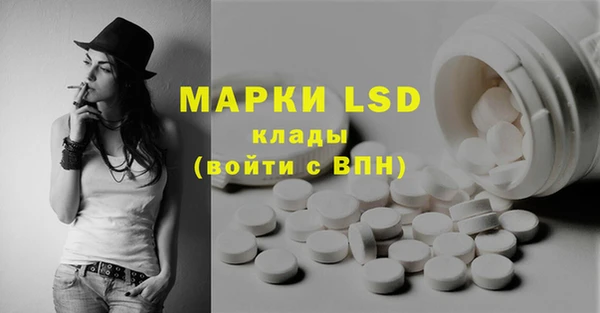 трава Новозыбков