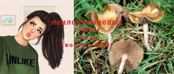 гашиш Нефтекумск