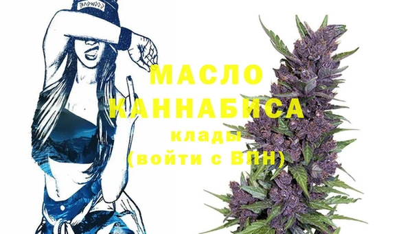 тгк Нея